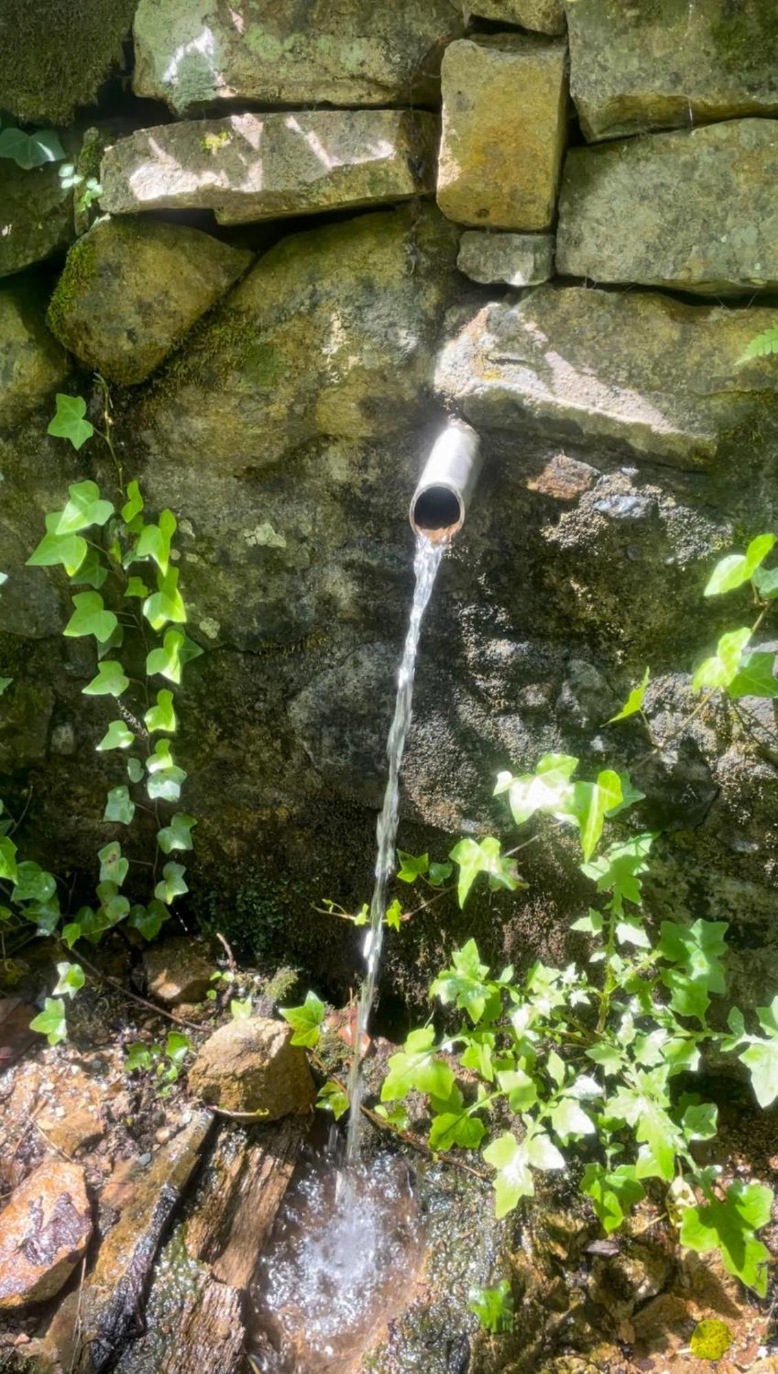 Descansar Piscina Cerca Casa rural Osor